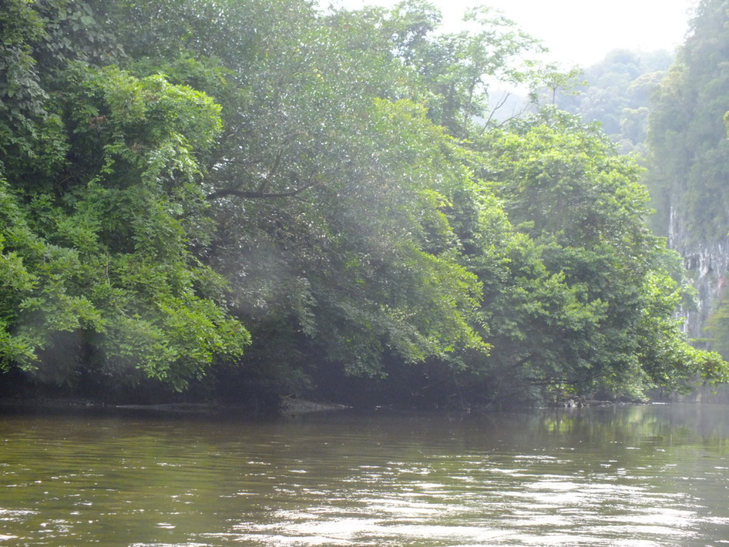 ボートで川を遡ります　グヌン・ムル国立公園　2012.7．26