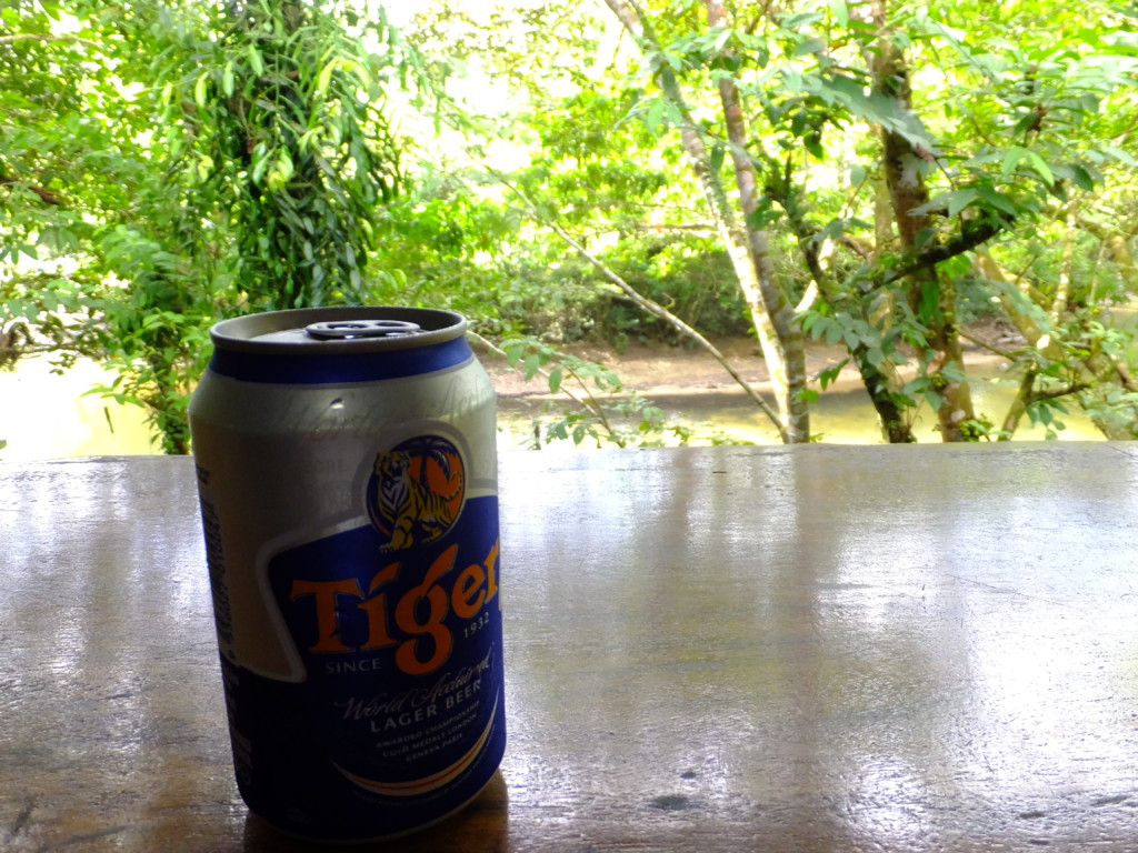 ジャングルの流れを見ながら飲むタイガービール　