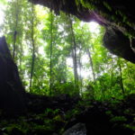マレーシア世界遺産グヌンムル国立公園　ウインドケイブとクリアウォーターケイブ洞窟のなかから見る緑に感動する