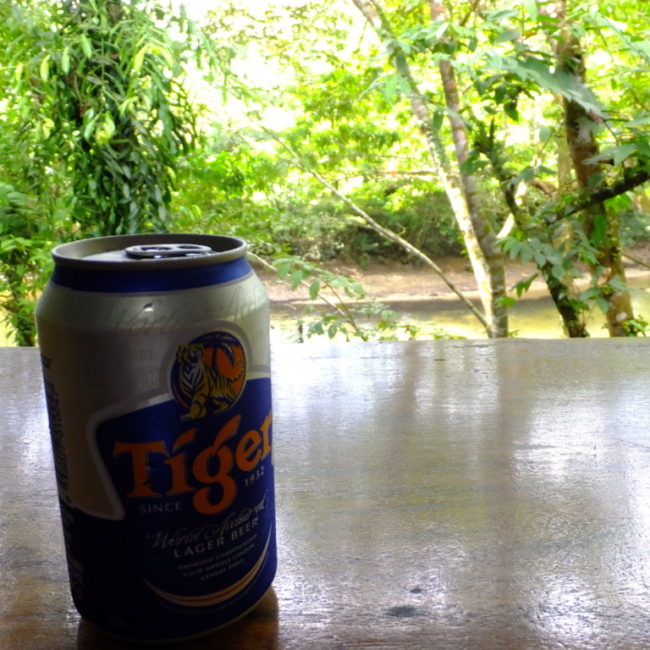 ジャングルの流れを見ながら飲むタイガービール　