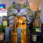 マレーシア　ネコの町クチンにある　ネコ博物館行ってみた　ネコグッズ写真多数